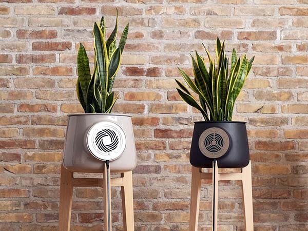 How Best Clairy Plant-Powered Air Purifiers Cleans Air