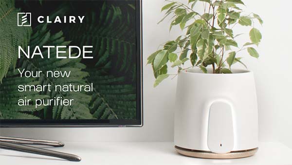 How Best Plant-Powered Air Purifiers Cleans Air