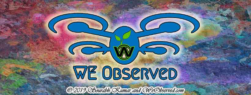 about-we-observed-we-observed