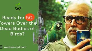 5G Towers Over the Dead Bodies of Birds