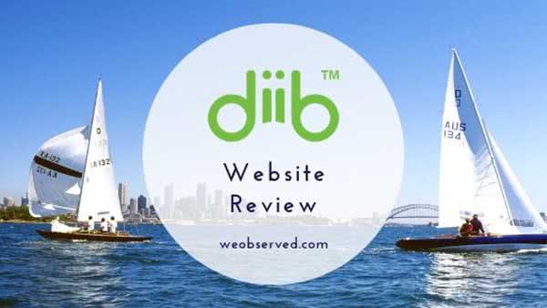 diib Review weobserved