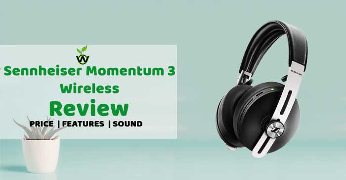 Sennheiser Momentum 3 Wireless Review : Noise-Cancelling? - We Observed