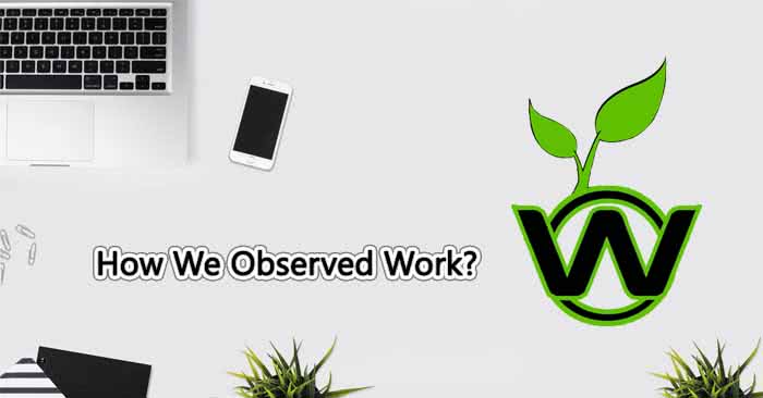 How We Observed Work? Best Review Website