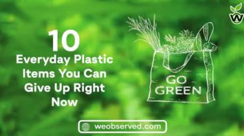 10 Everyday Plastic Items You Can Give Up Right Now To Save Earth