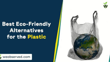 Best Eco-Friendly Alternatives for the Plastic