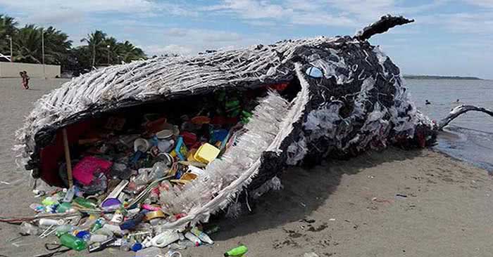 GREAT PACIFIC GARBAGE PATCH