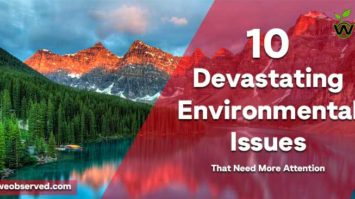 10 Devastating Environmental Issues That Need More Attention