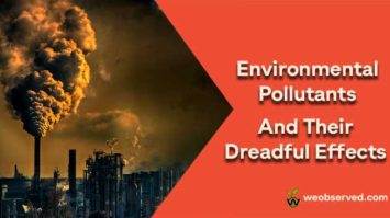 Environmental Pollutants and Their Dreadful Effects