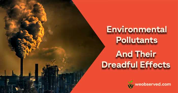 Environmental Pollutants and Their Dreadful Effects