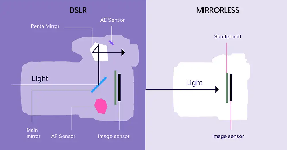 Mirrorless v/s DSLR Cameras