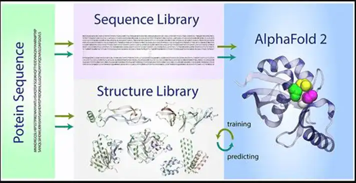 AlphaFold2 Intelligent Machine for Protein Folding