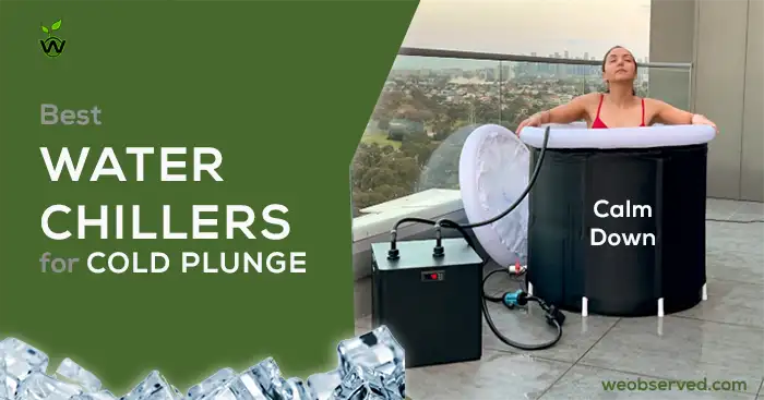 Best Water Chillers For Cold Plunge Or ICE Bath