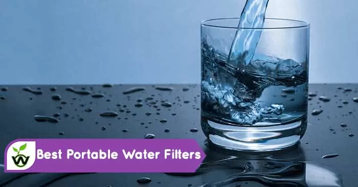 Best Portable Water Filters